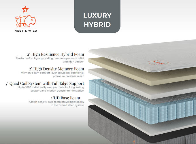 Luxury_Hybrid_Digibun_1000x (2)